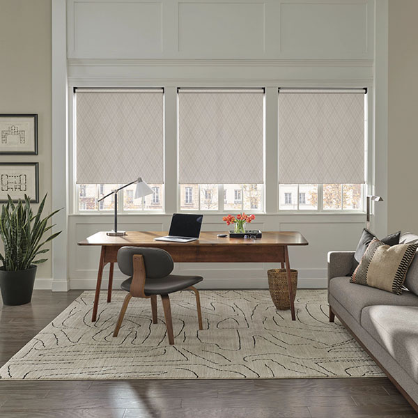 Designer Roller Shades